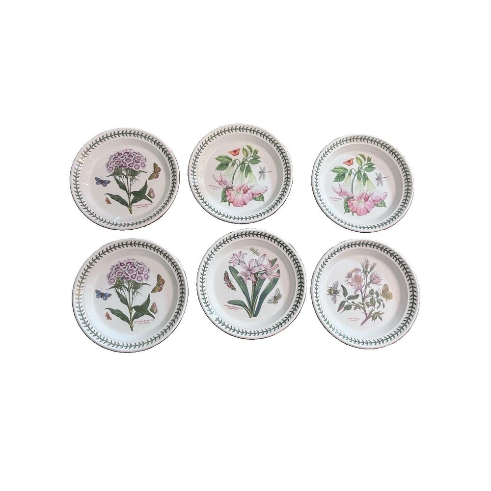 Portmeirion Botanic Garden by Susan Williams Ellis Salad Plates 8.5 In Set of 6